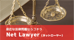 NET LAWYER